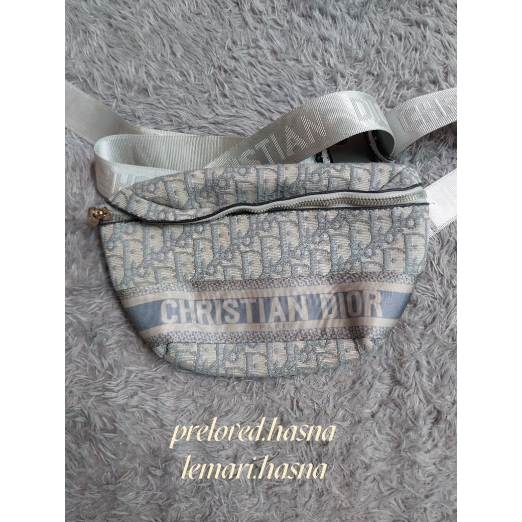 Waistbag D*or