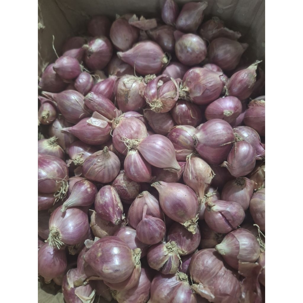

bawang merah 500 gram