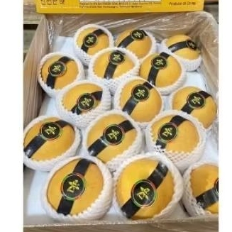 

pear singo RRC manis fresh 1kg