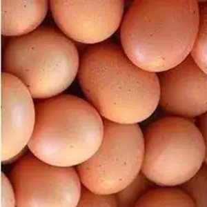 

Telor Ayam Negeri 1 Kg