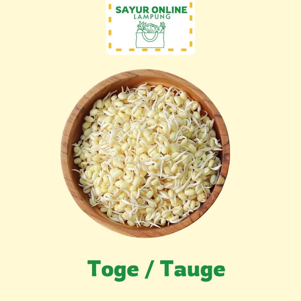 

Toge / Tauge -100 Gram - Sayur Online Lampung