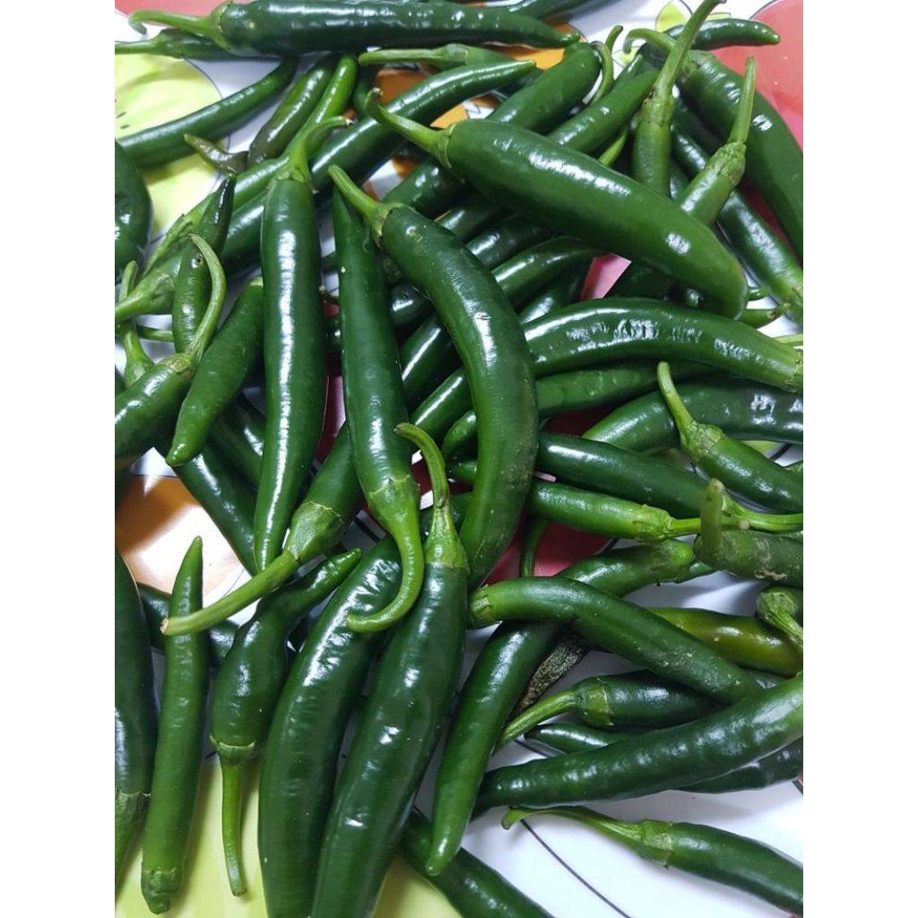 

Cabe Ijo Besar - 250 gram