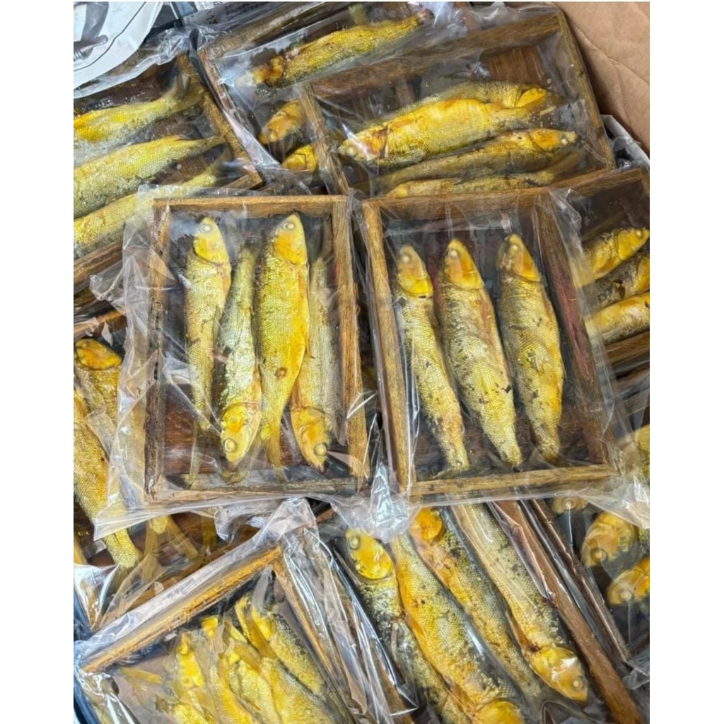 

BANDENG PRESTO FROZEN