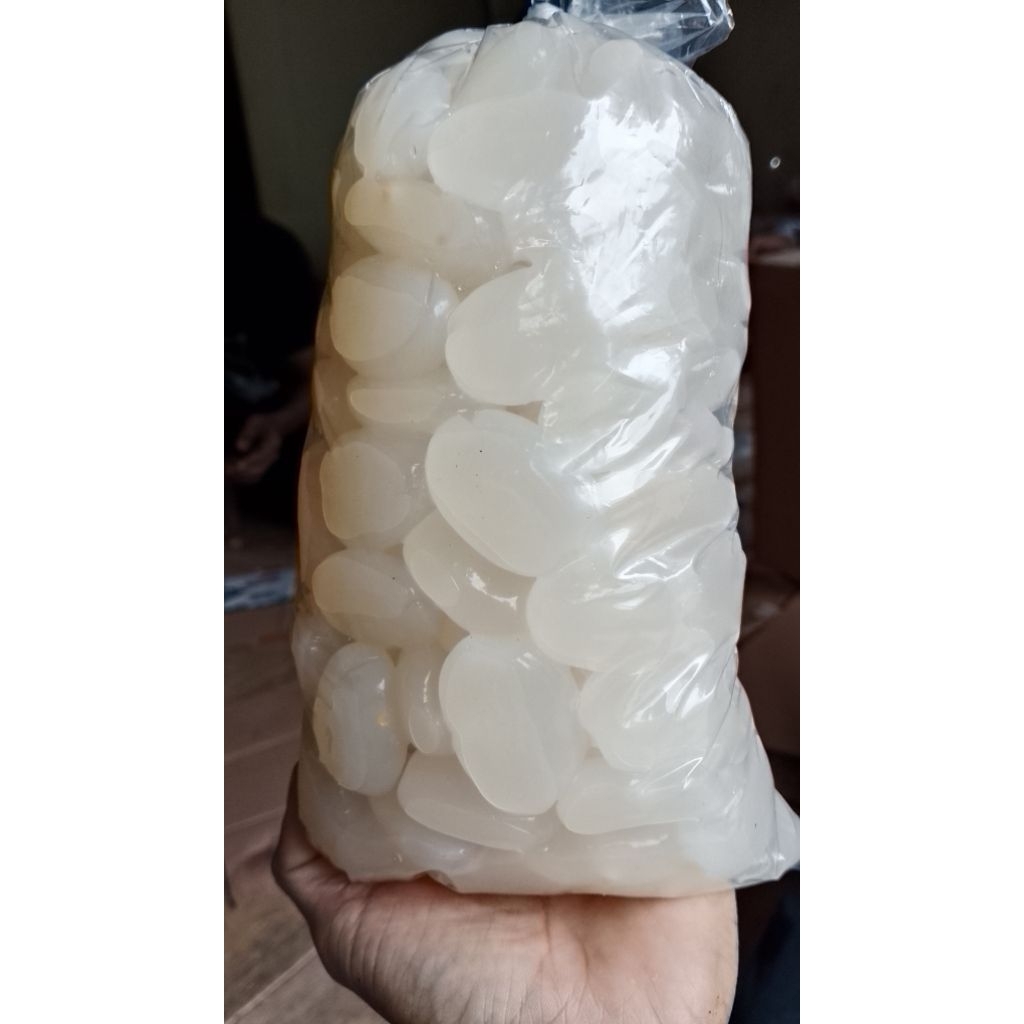 

Kolang Kaling Premium Segar | Kenyal, Bersih, Lezat