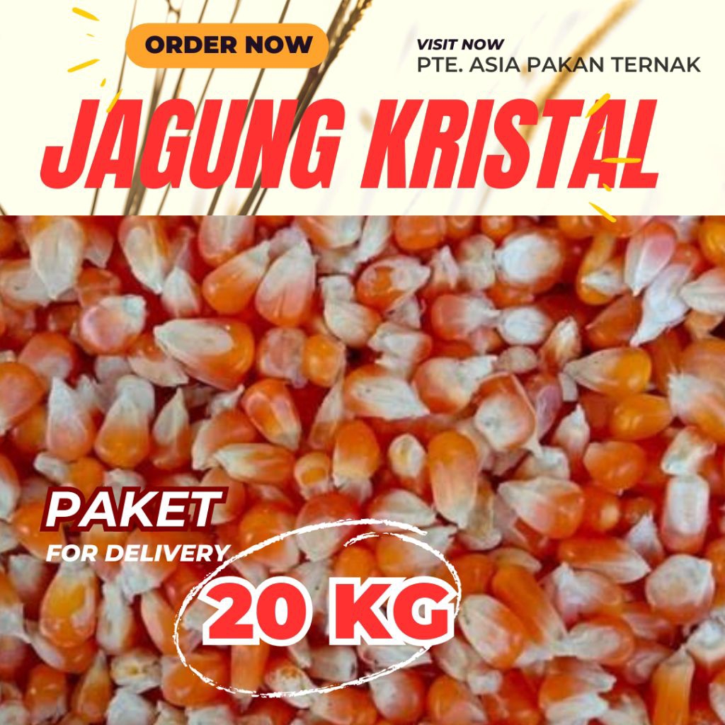 

Paket Jagung Kristal 20 kg