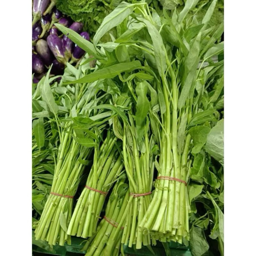 

sayur Kangkung 1 ikat