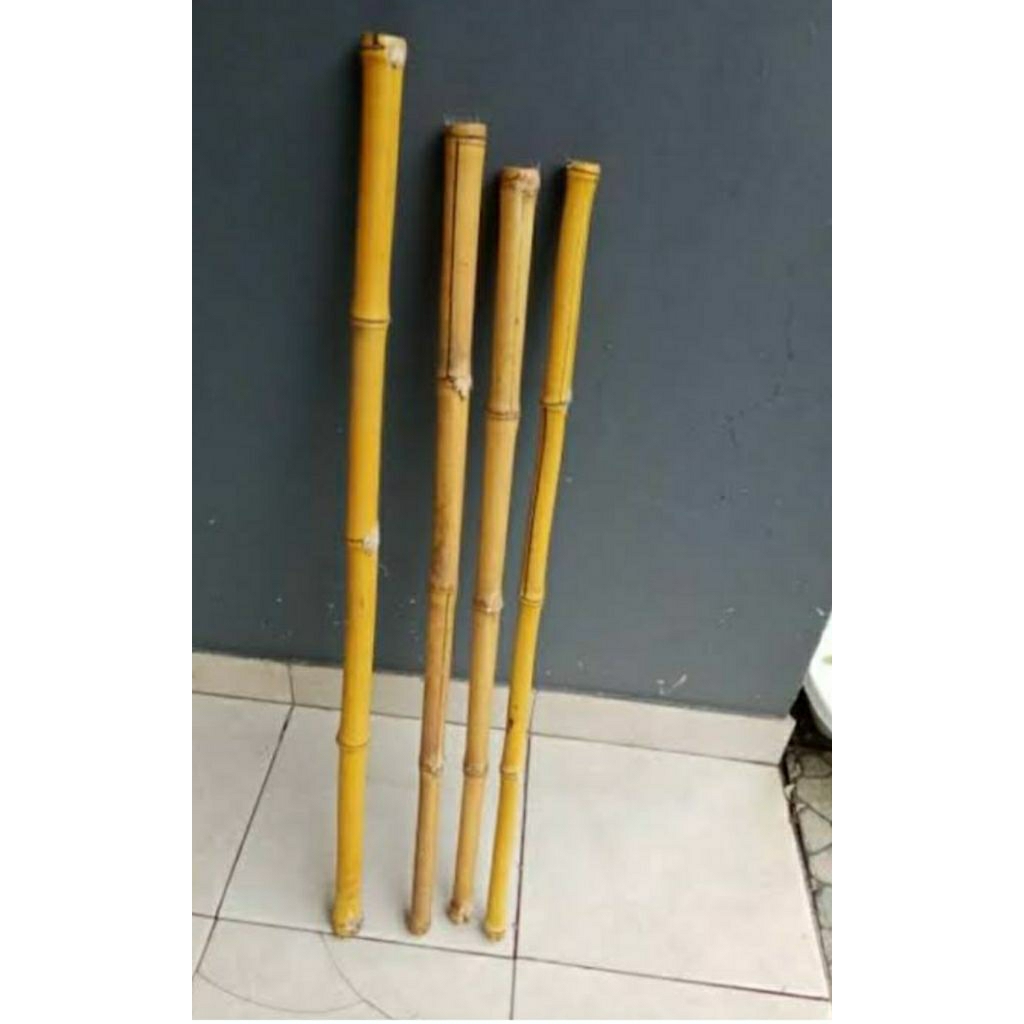 TONGKAT BAMBU KUNING ASLI