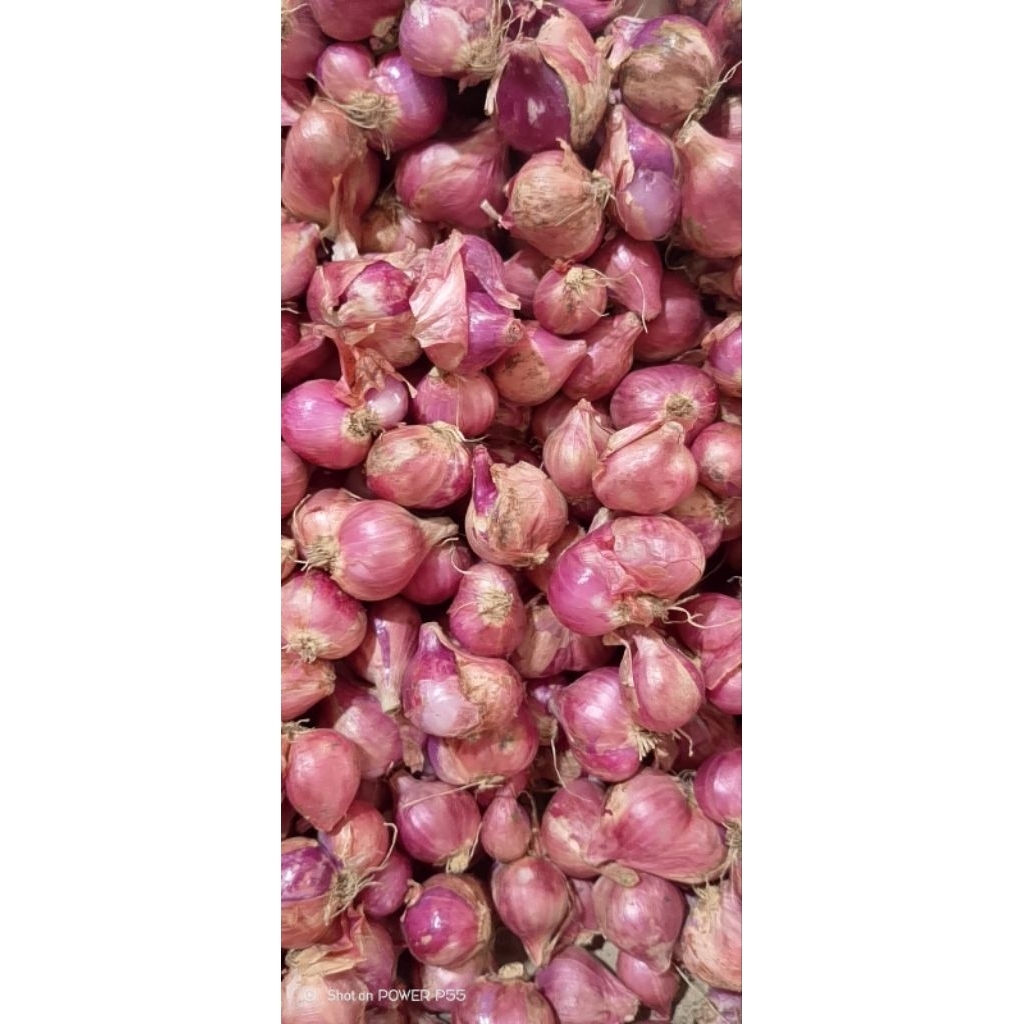 

bawang merah 500g