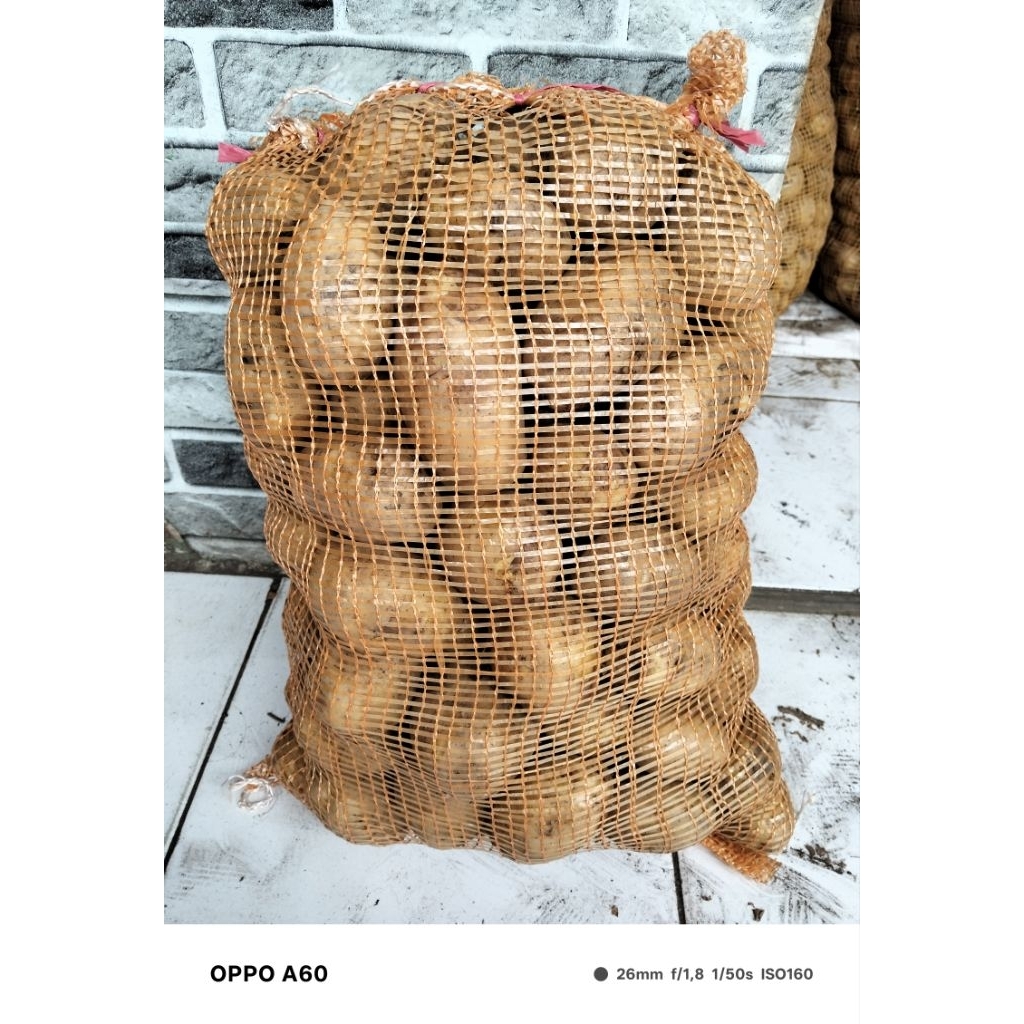 

Kentang Dieng ABC 1 Kg – Ukuran Besar, Segar & Siap Masak