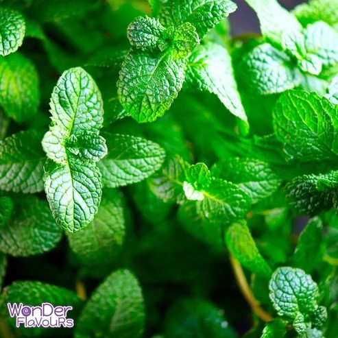 

WF Double Mint Flavor