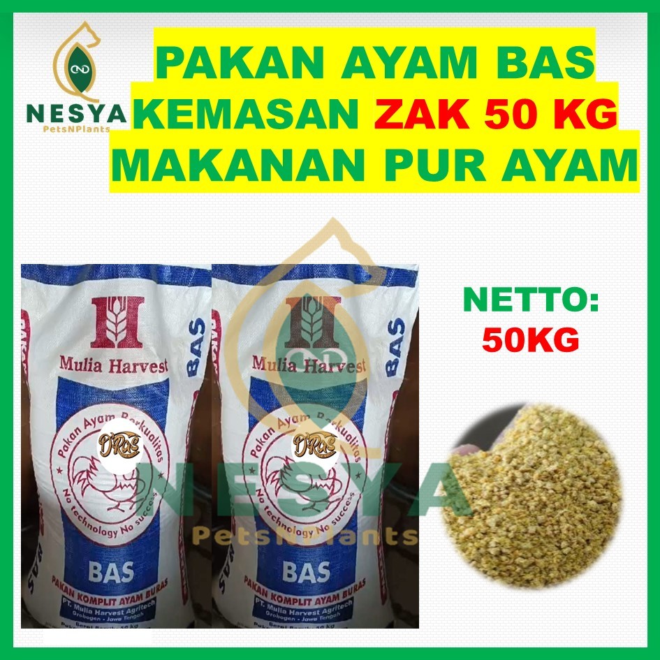 Pakan Ayam BAS KEMASAN KARUNG/ZAK 50KG Pakan Komplit Ayam Buras Berkualitas Kemasan 50KG