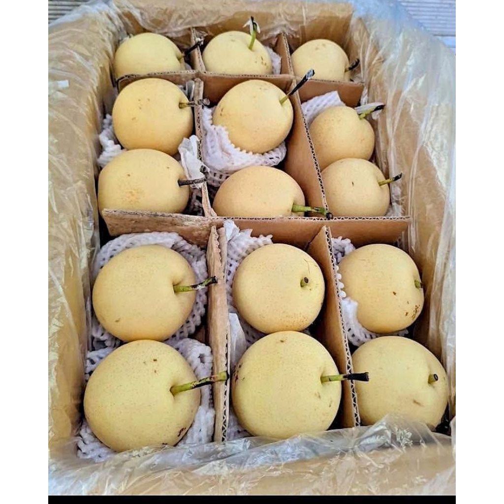 

Pir century timbangan 1kg bisa lebih