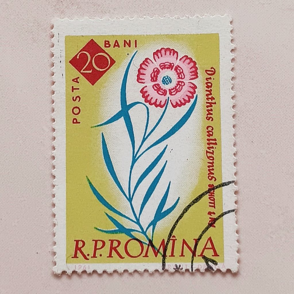 

(AA) Perangko Rumania 1961 Centenary of Bucharest Botanical Gardens - King's Clove (Dianthus callizonus) 20 ban CTO