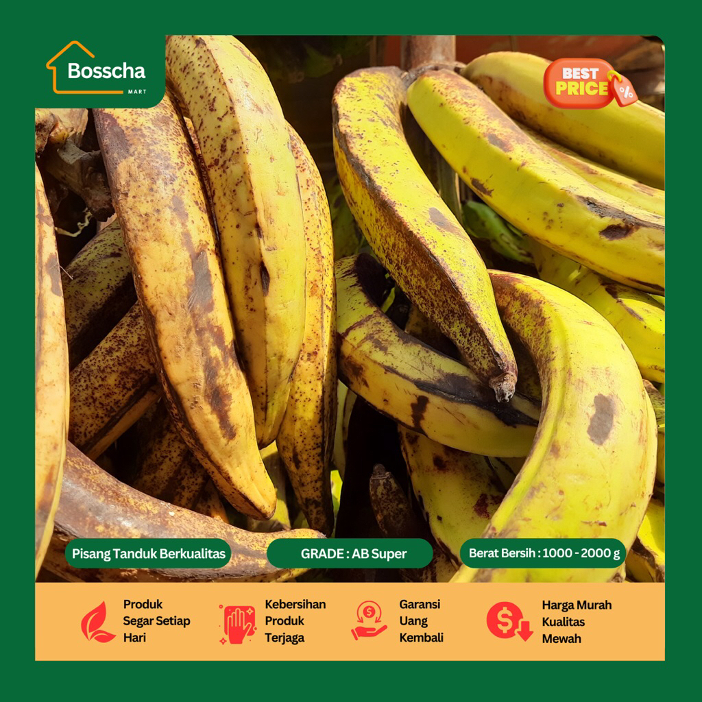 

Pisang Tanduk Berkualitas 2 KG
