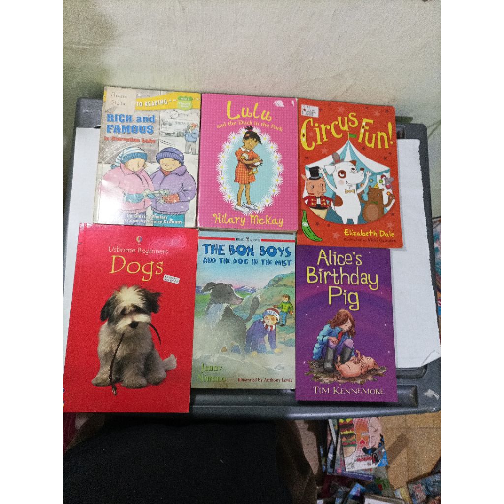 buku import anak Circus Fun, Usborne Dogs, Felicity wishes Dancing dreams, Go girl sister Spirit May