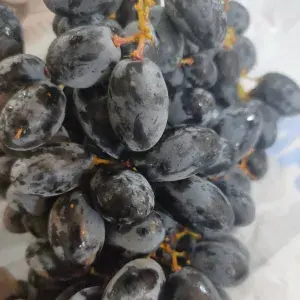 

Anggur Hitam premium tanpa biji manis 1kg