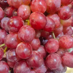 

anggur merah australi 500g