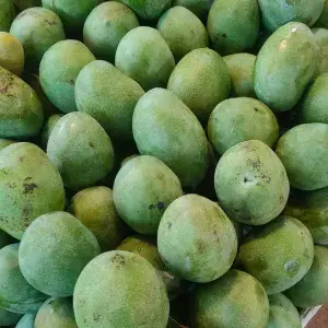 

mangga manalagi 2pcs