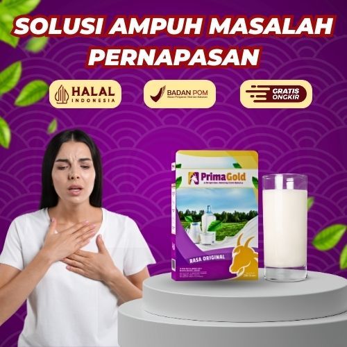 

4 BOX SUSU PRIMAGOLD ATASI SESAK NAFAS DALAM 7 HARI