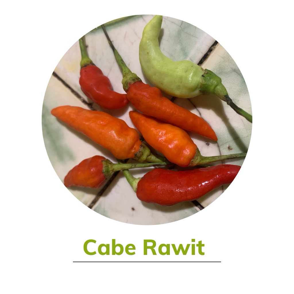 

CABAI RAWIT SEGAR 1kg/250/500/150