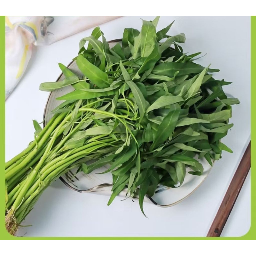 

kangkung segar per ikat kangkung hijau dadakan fres