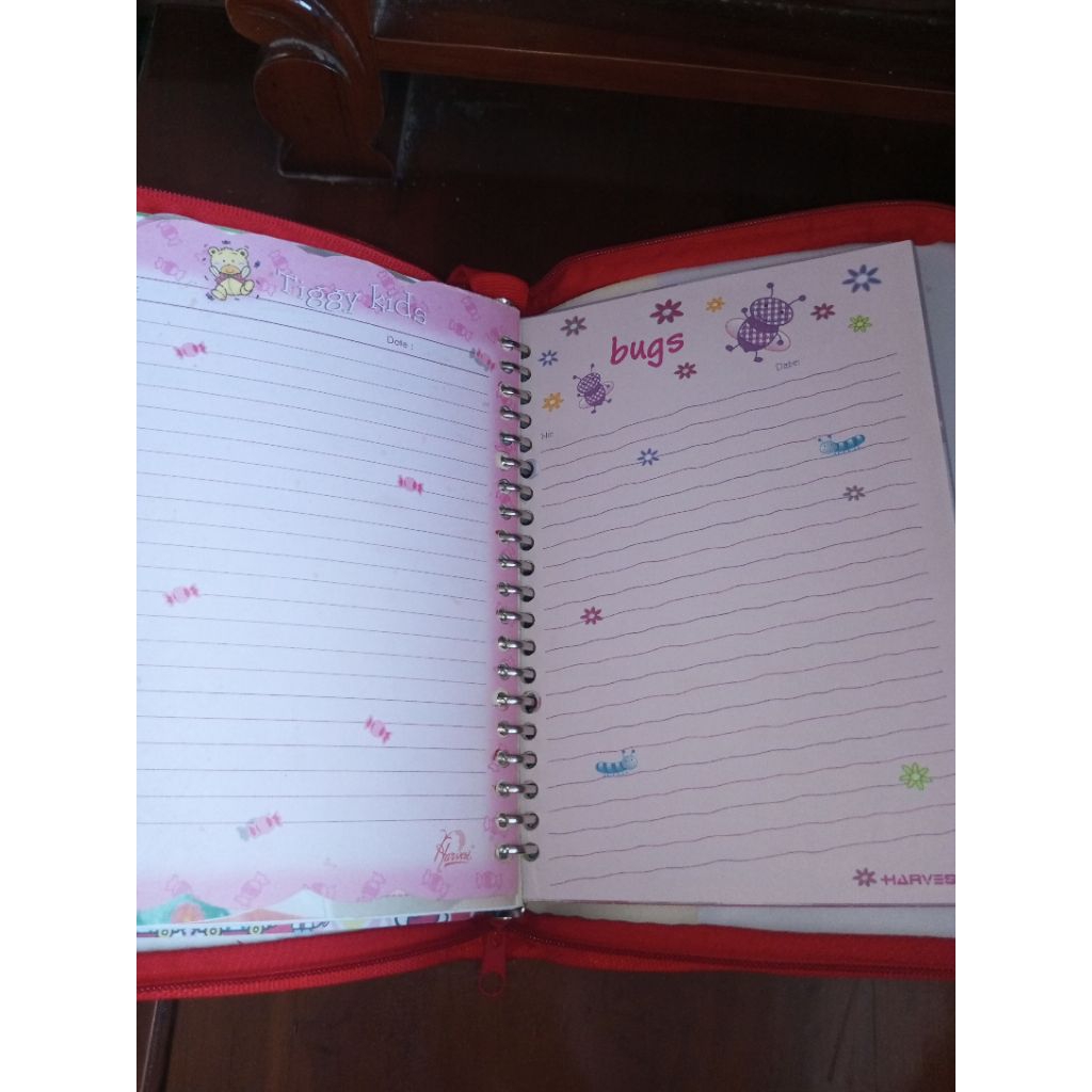 

(Preloved Binder) All in Binder Koleksi pribadi binder dan isi Koleksi jadul /Binder A5 PAKET 20