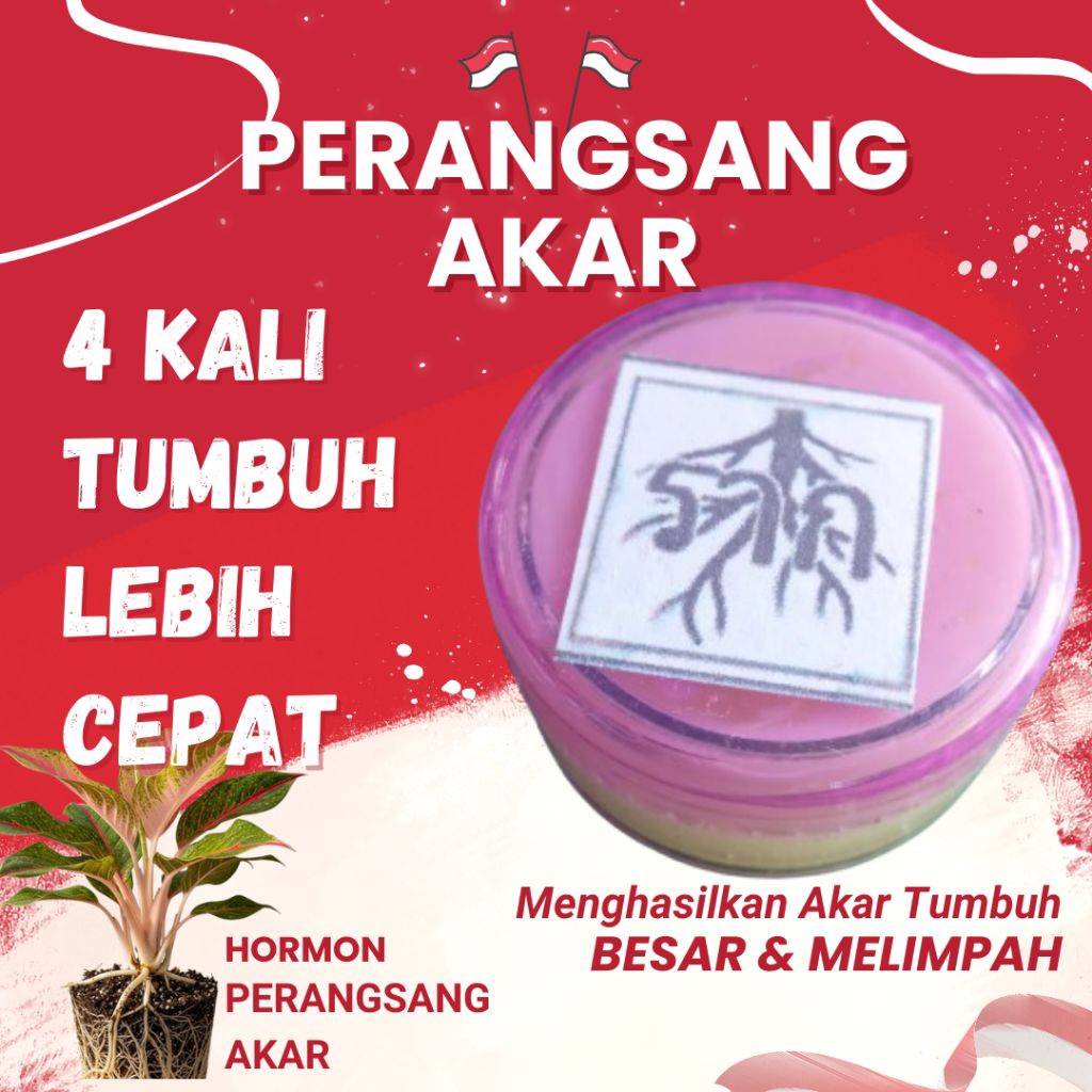 ROOTPASTA™ – Perangsang Akar Tanaman Stek Cangkok