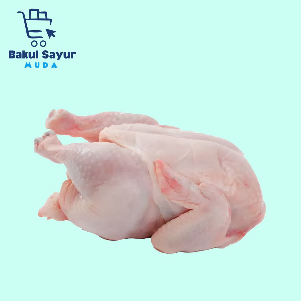 

Ayam Krakas Utuh Segar ±1 Kg Ayam Krakas Potong Segar