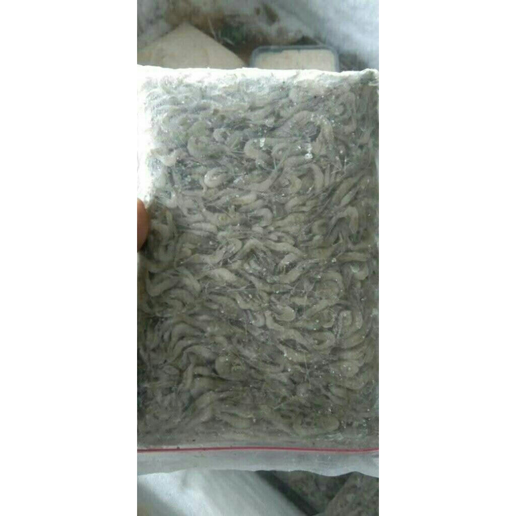 

udang sawah beku ukuran kcil umpan pakan ikan/500gram