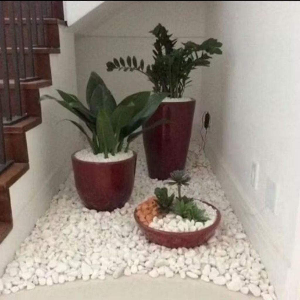 Batu Koral Putih / Batu Koral Hiasan Taman / Hias Tanaman