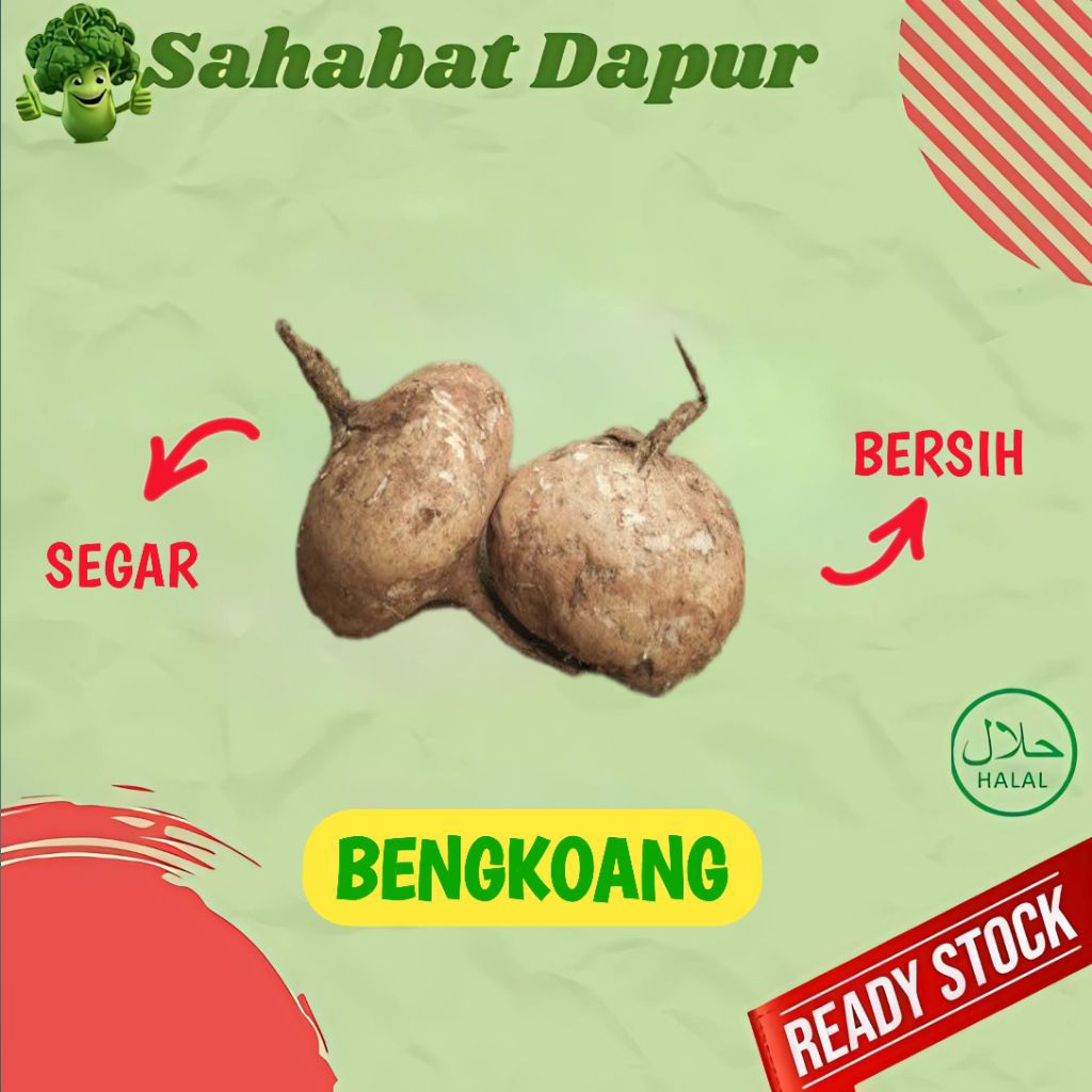 

Bengkoang - Sayur Segar Palembang