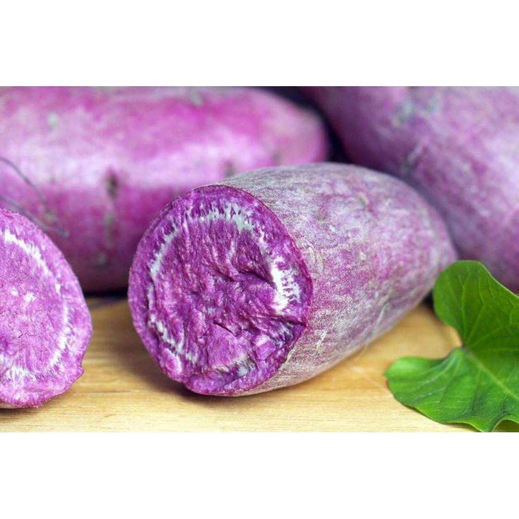 

Ubi jalar/ ubi ungu ubi oren 1 kg