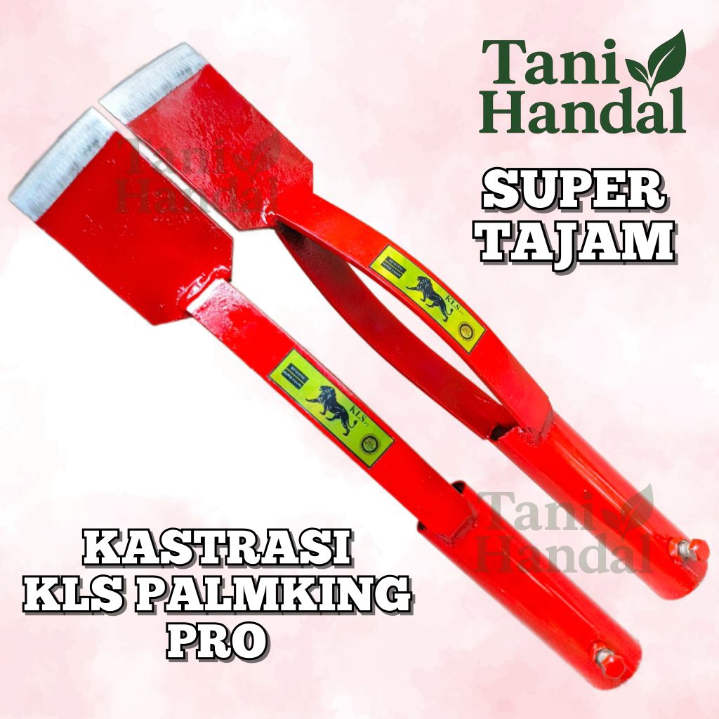DODOS KASTRASI SAWIT KLS PALMKING PRO SUPER TAJAM ALAT KASTRASI SAWIT SUPER TAJAM