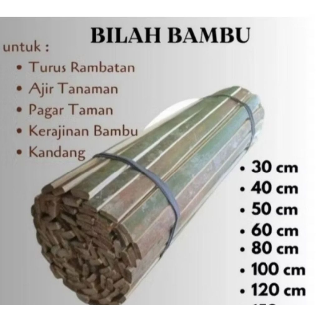 BILAH BAMBU 120CM AJIR TANAMAN TERMURAH