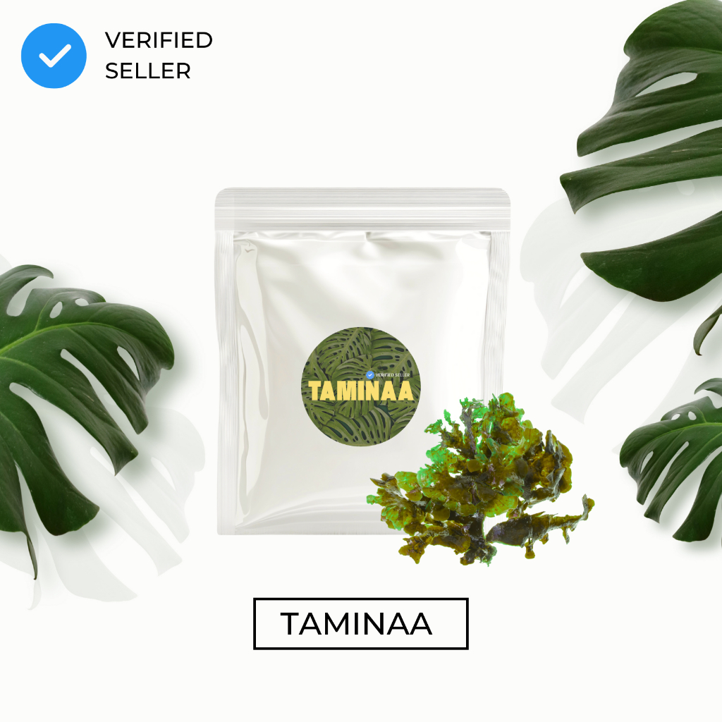 

Carrageenan KAPPA Eucheuma Cottonii Tepung Karagenan Kapa 100gr