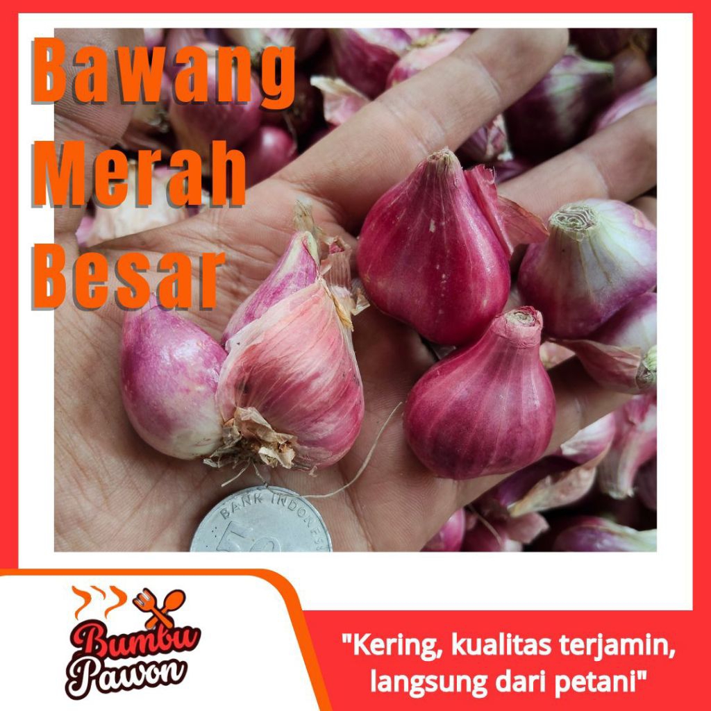 

Bawang Merah Kering Premium Ukuran Besar 250g–1kg | Langsung dari Petani – Tahan Lama & Berkualitas