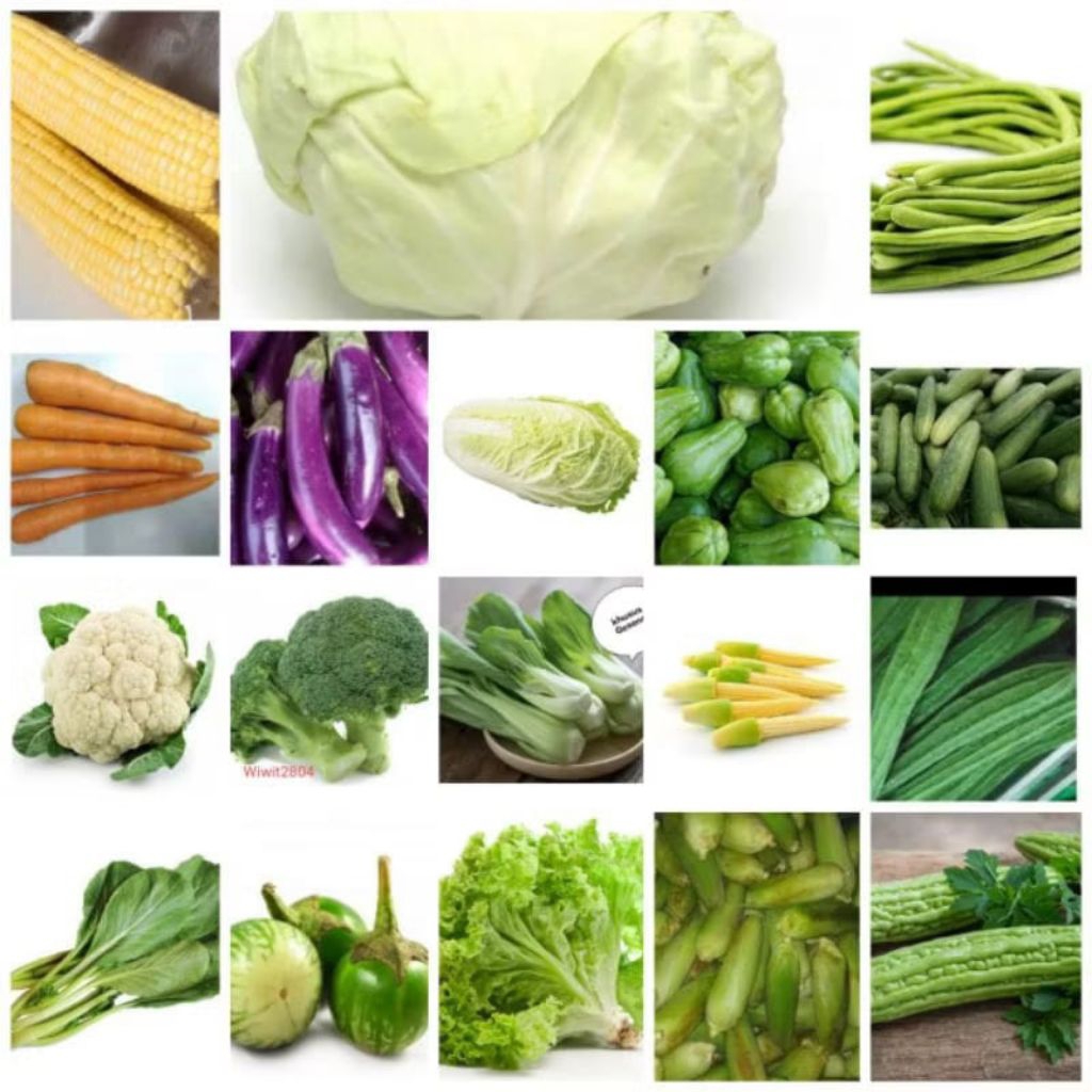 

( SERBA LIMA RIBU 5,000 ) SAYUR SEGARR/FRESS