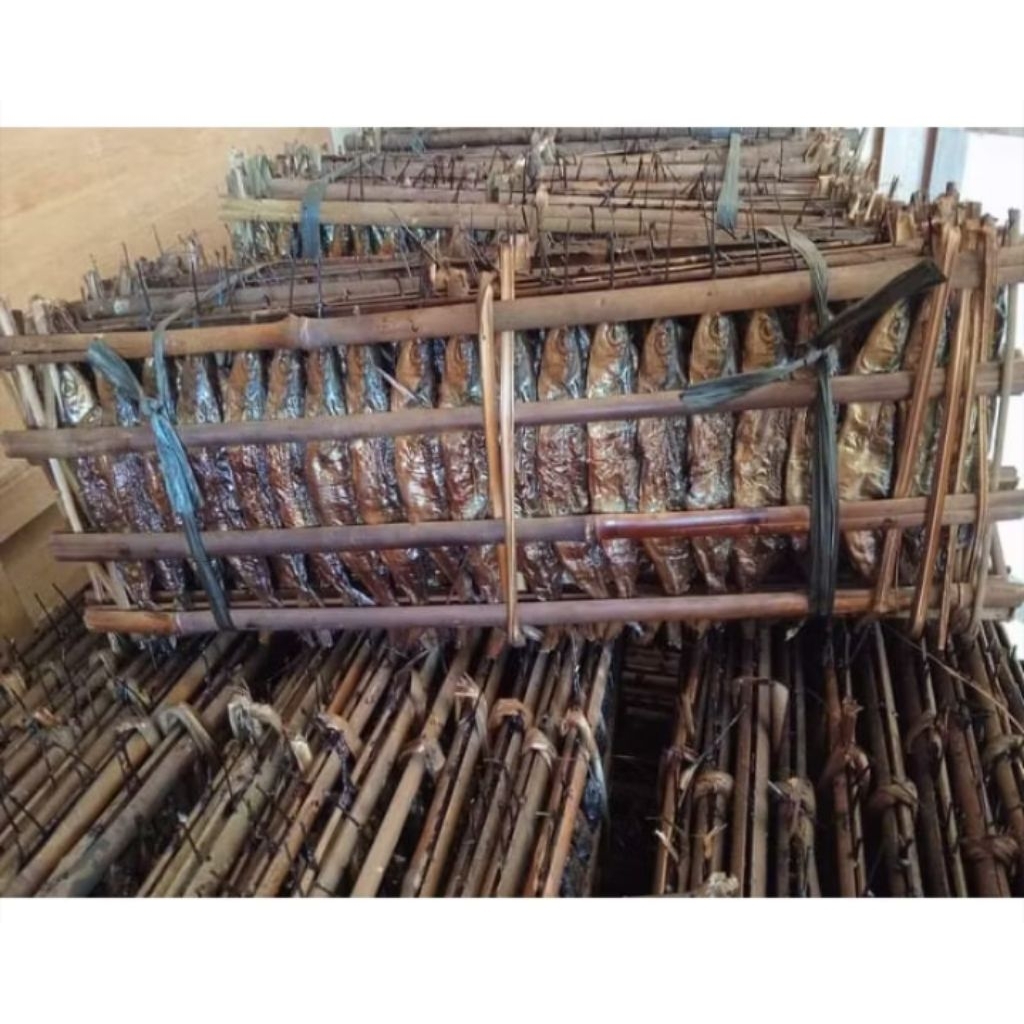 

Ikan Roa Asap Asli Manado – Cita Rasa Khas Nusantara 20-22 Ekor