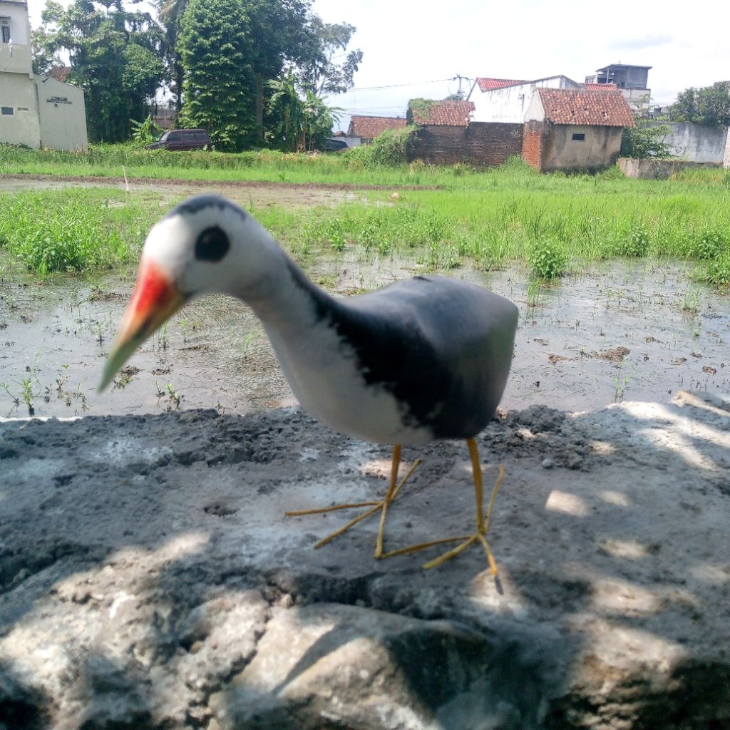 BONEKA MAINAN/JONTROT BURUNG RUAK RUAK MIRIP ASLI