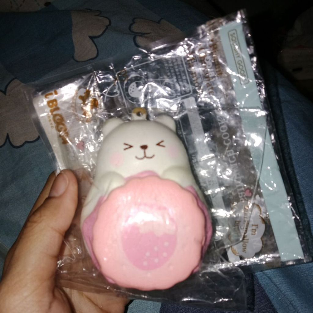 SQUISHY IBLOOM MARMO COOKIES