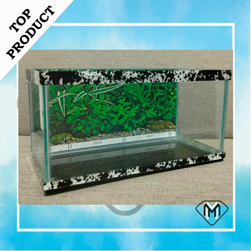 AQUARIUM IKAN HIAS / AQUARIUM KACA MINIMALIS / TEMPAT REPTIL DAN HAMSTER