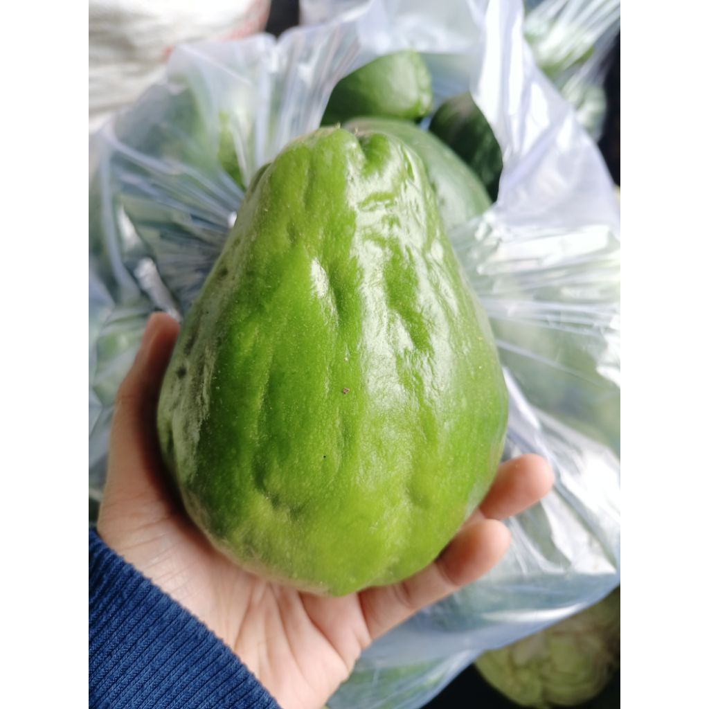 

labu siam fresh 1kg