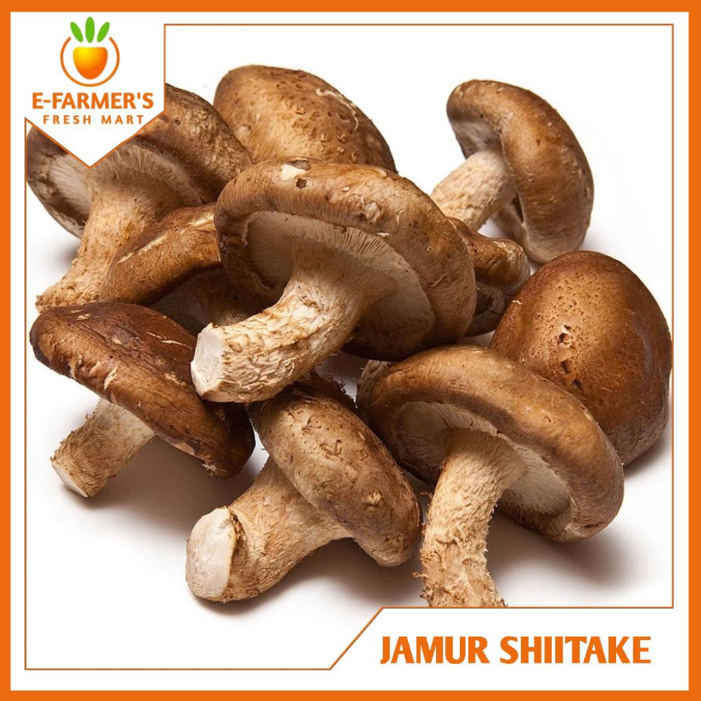 

Jamur Shitake Fresh 250g-1KG, Termurah (JAKBAR)