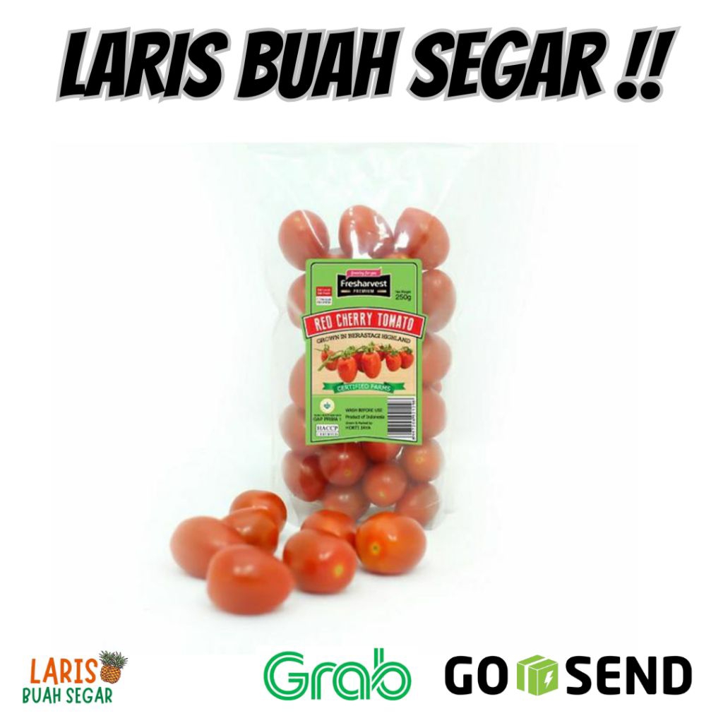

TOMAT CHERRY FRESH 1 PACK