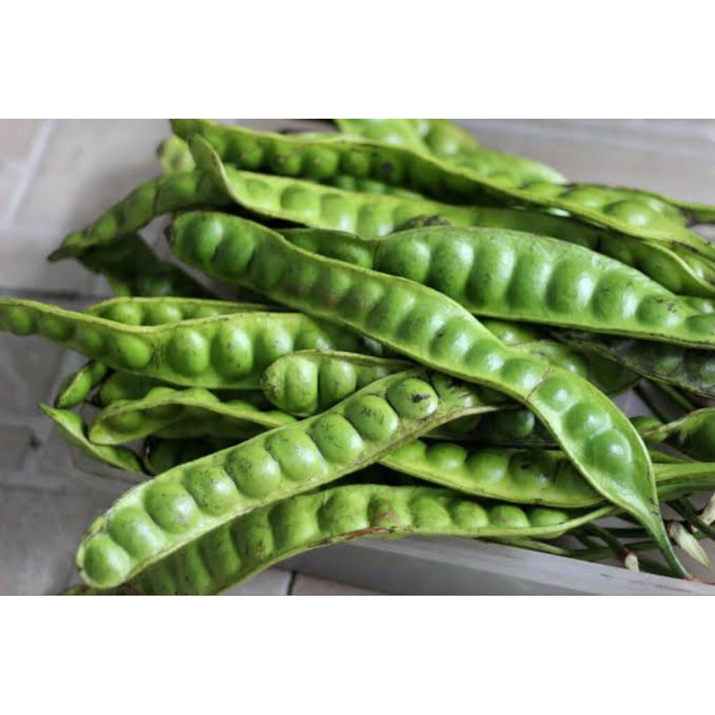 

Sayur Pete Petai 1 Papan