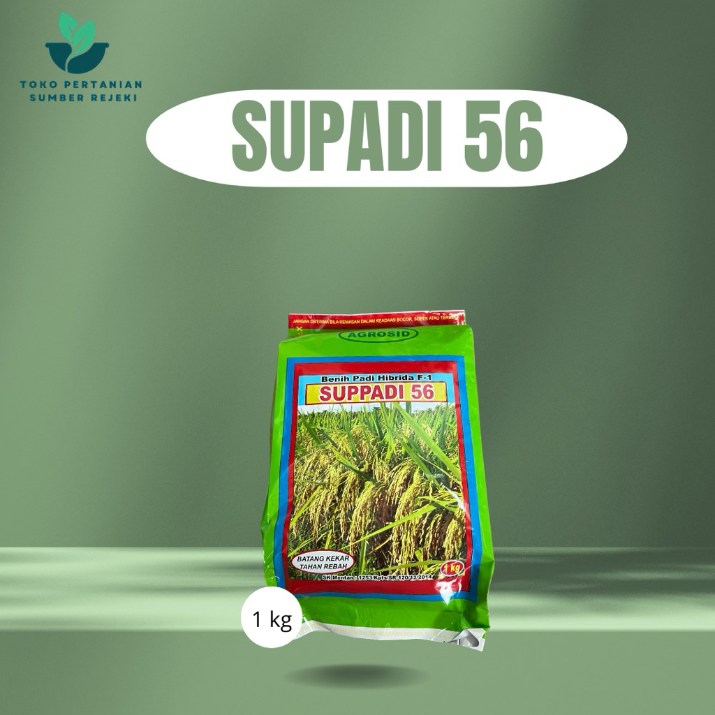 BIBIT PADI HIBRIDA SUPADI 56 ORIGINAL 1 KG