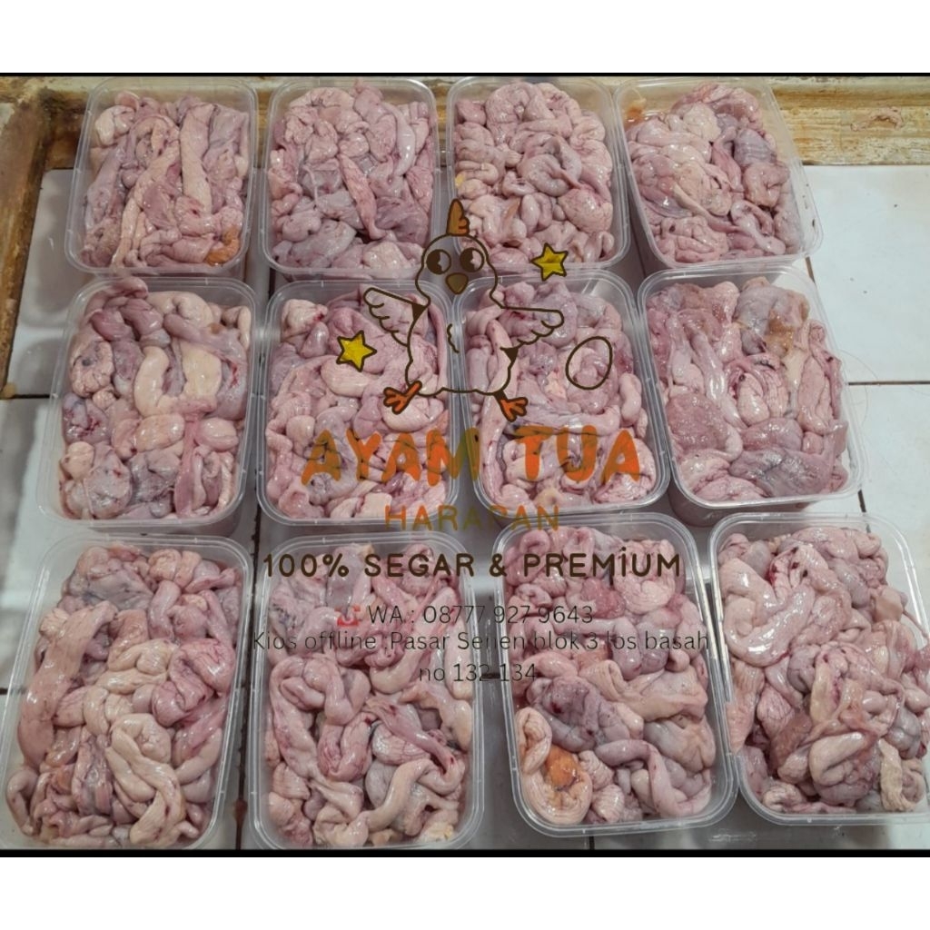 

KANTUNG TELUR AYAM MERAH