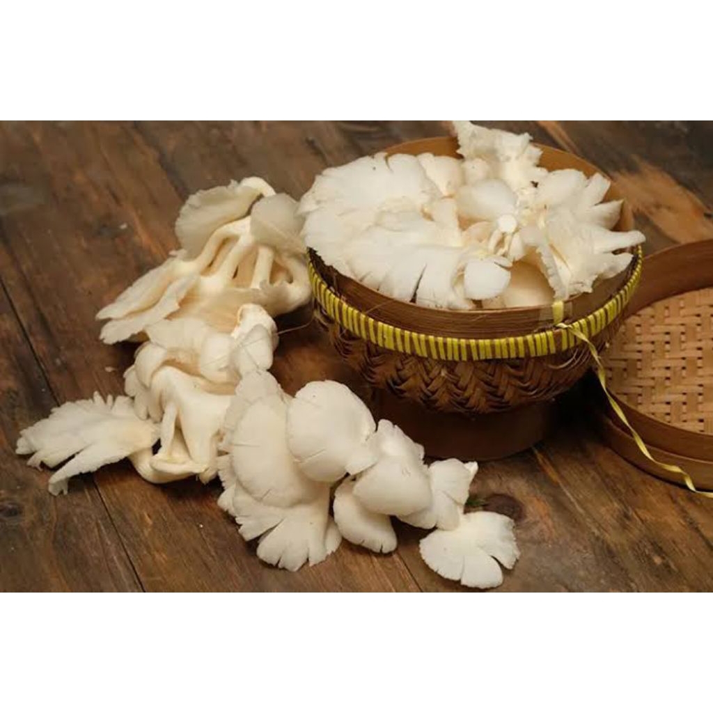 

Jamur Tiram Dua Bungkus Fresh (Sayuran Segar)