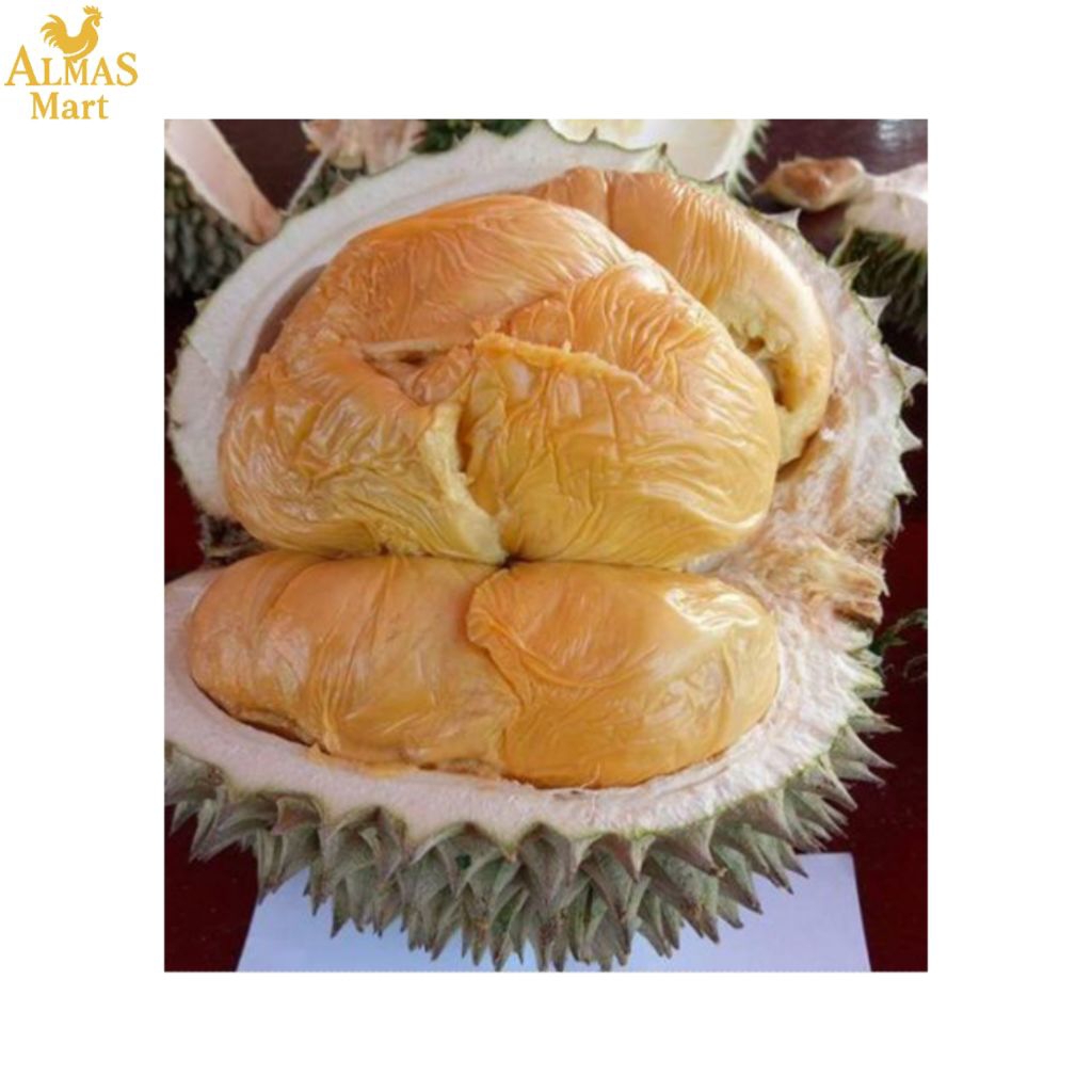 Bibit Durian Duri Hitam (D200) – Packing Kayu, Media Tanam Utuh