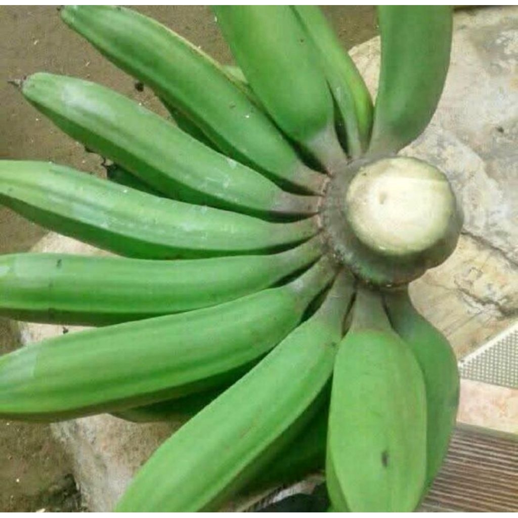 

Pisang Nangka super